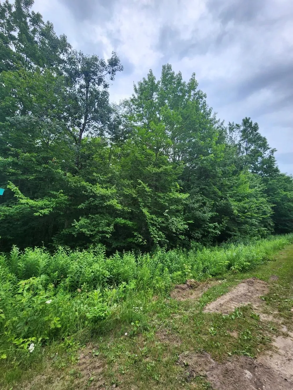 5165 Snowridge Trail Star Township, MI 49730