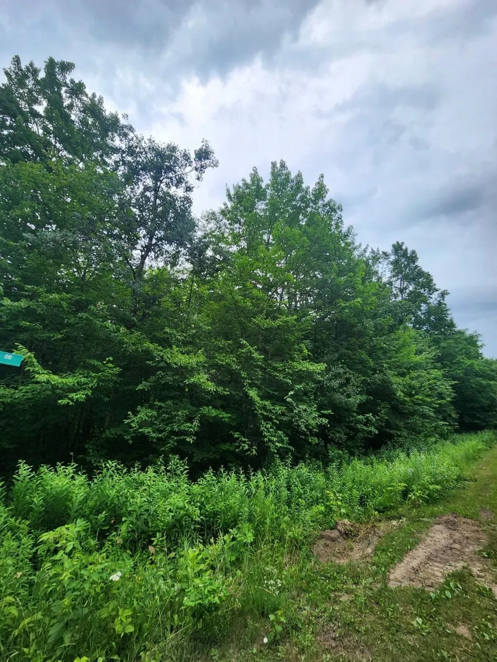 5165 Snowridge Trail Star Township, MI 49730