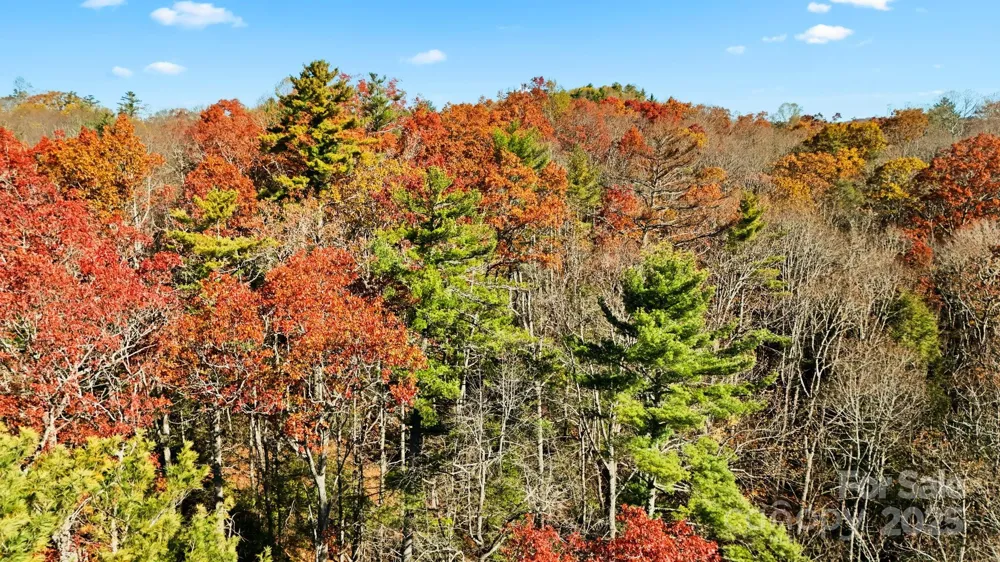 TBD Midway Road Linville Falls, NC 28647