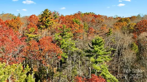 TBD Midway Road