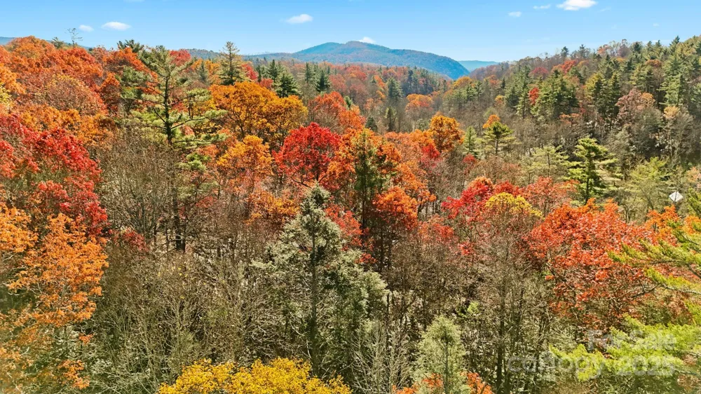 TBD Midway Road Linville Falls, NC 28647
