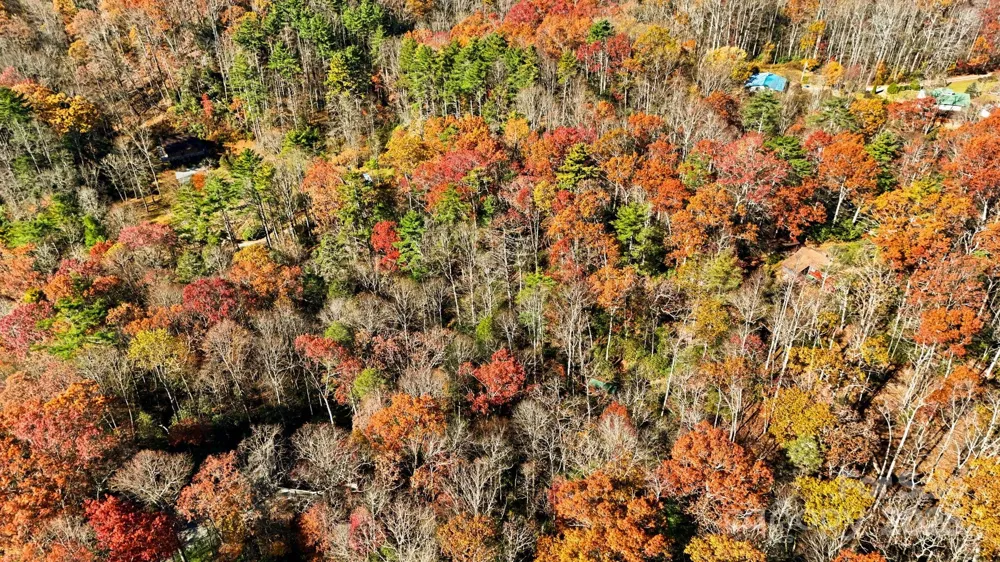 TBD Midway Road Linville Falls, NC 28647