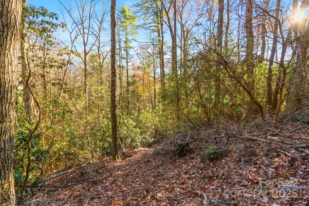 TBD Midway Road Linville Falls, NC 28647