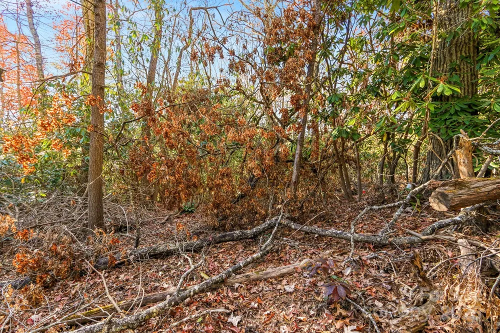 TBD Midway Road Linville Falls, NC 28647