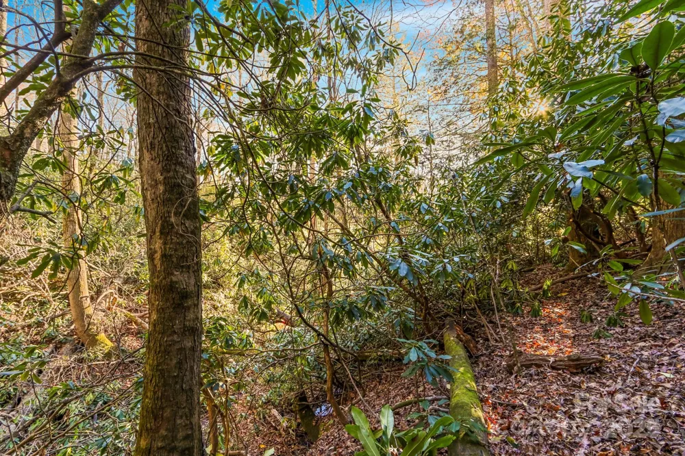 TBD Midway Road Linville Falls, NC 28647