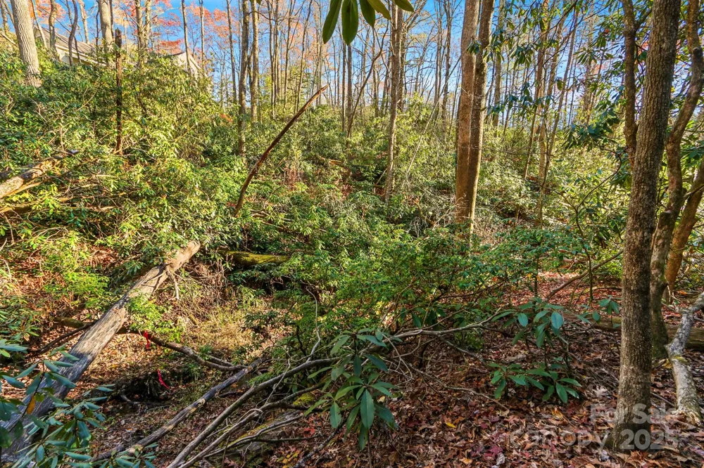 TBD Midway Road Linville Falls, NC 28647
