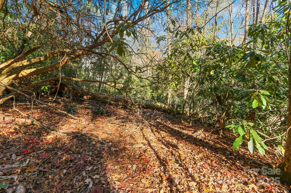 TBD Midway Road Linville Falls, NC 28647