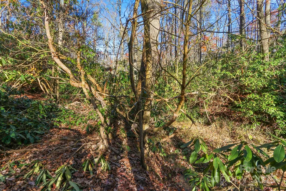TBD Midway Road Linville Falls, NC 28647