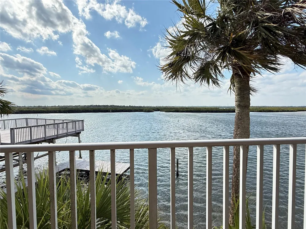824 EEL AVENUE New Smyrna Beach, FL 32169