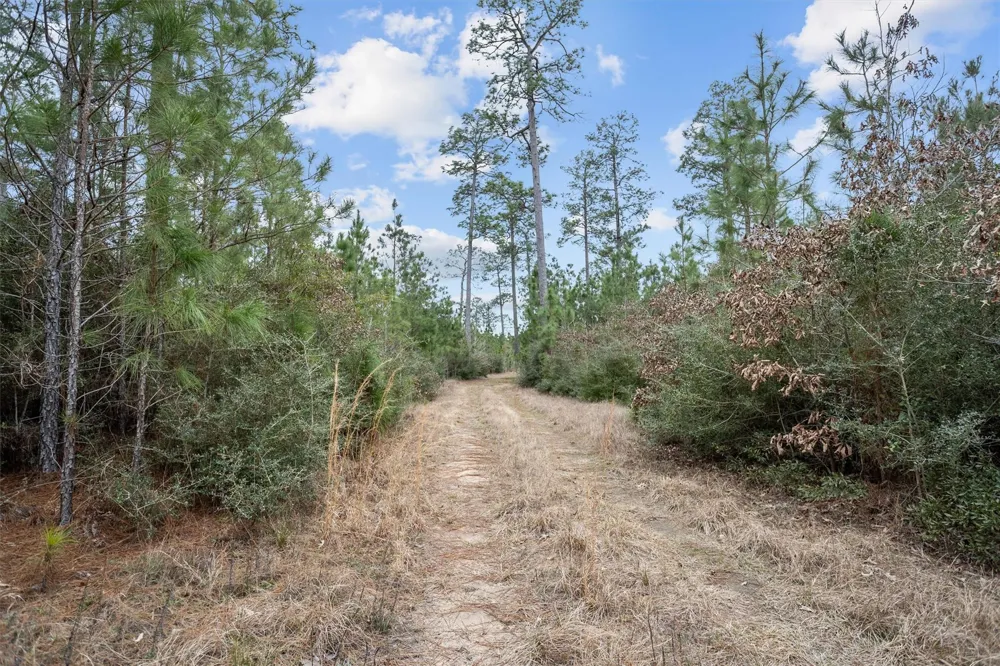 9422 Farm To Market 62 Corrigan, TX 75939