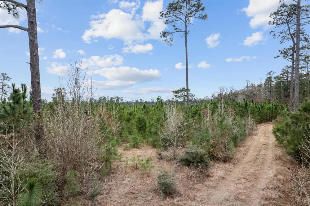 9422 Farm To Market 62 Corrigan, TX 75939
