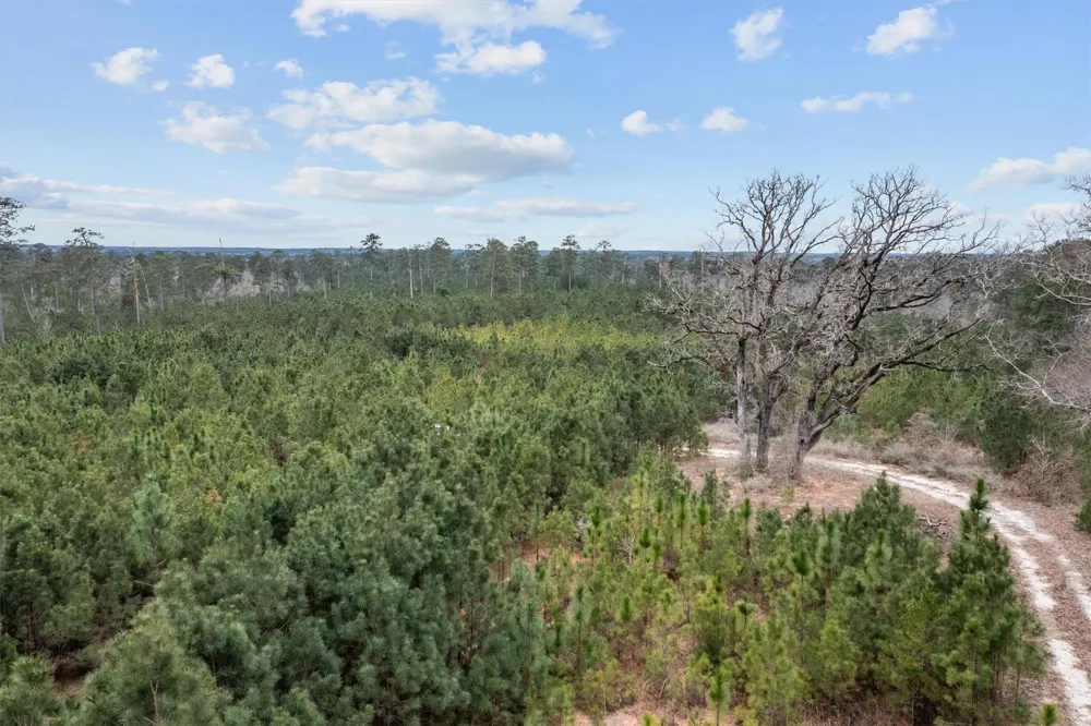 9422 Farm To Market 62 Corrigan, TX 75939