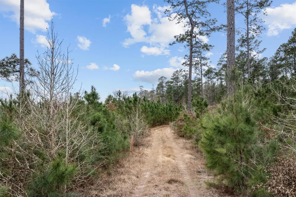 9422 Farm To Market 62 Corrigan, TX 75939