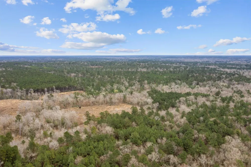 9422 Farm To Market 62 Corrigan, TX 75939