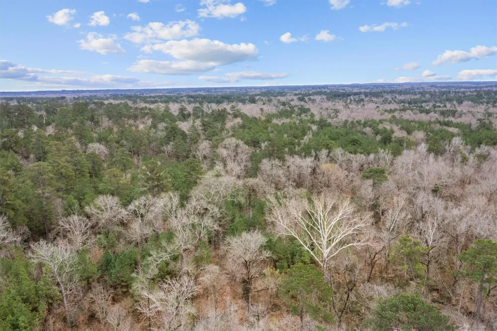 9422 Farm To Market 62 Corrigan, TX 75939