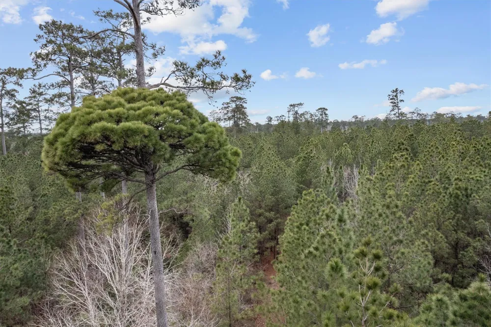 9422 Farm To Market 62 Corrigan, TX 75939