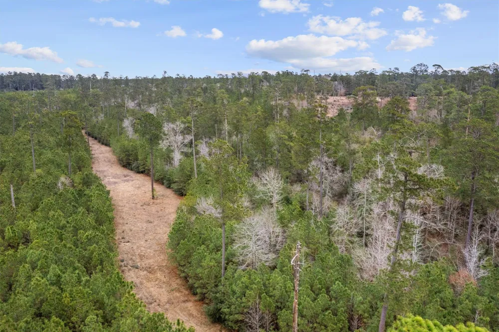 9422 Farm To Market 62 Corrigan, TX 75939