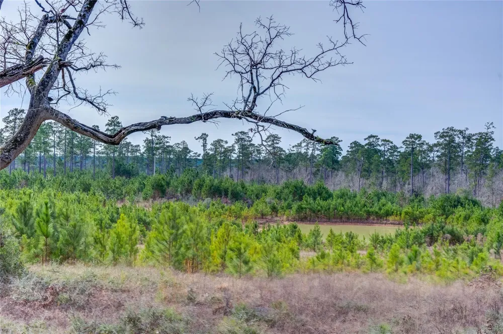 9422 Farm To Market 62 Corrigan, TX 75939
