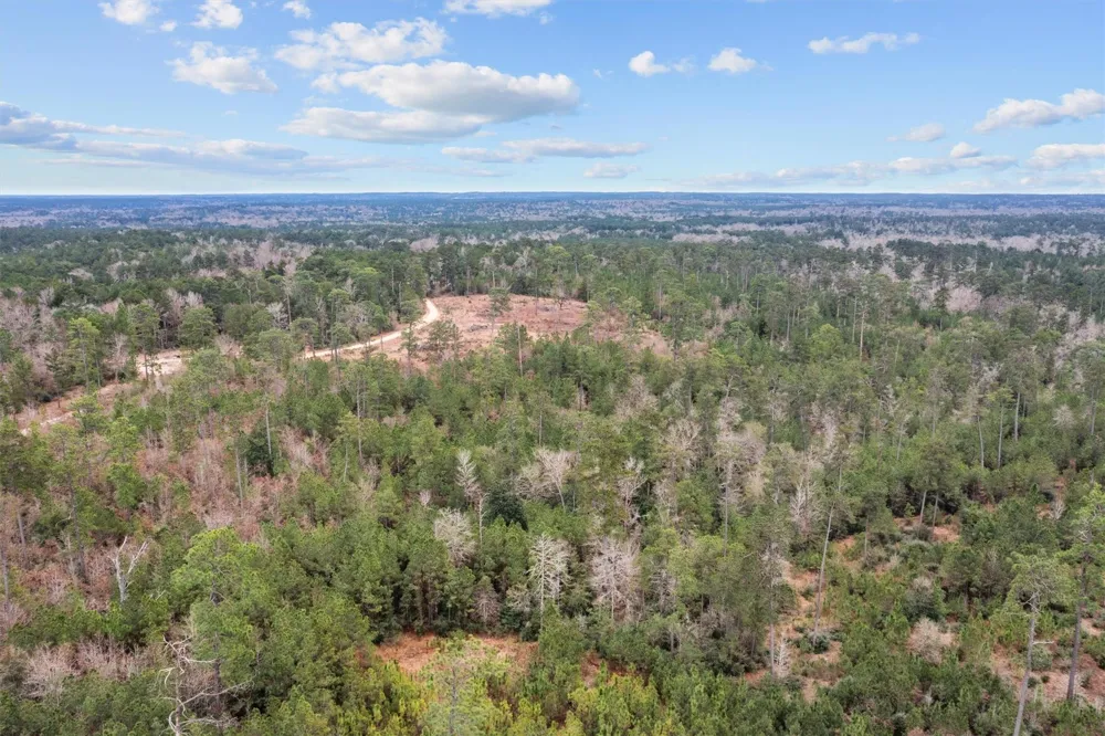 9422 Farm To Market 62 Corrigan, TX 75939