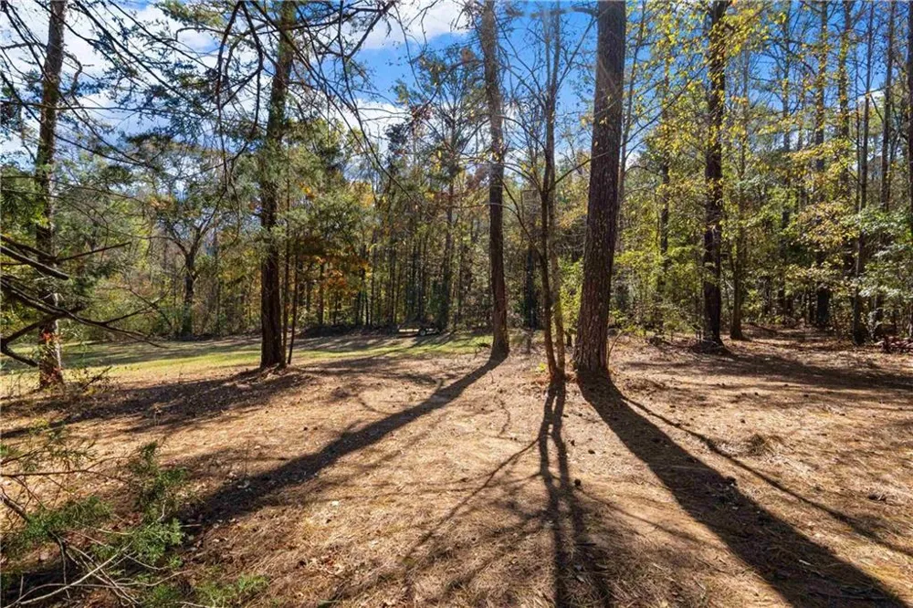 1466 County Rd 59 Roanoke, AL 36274