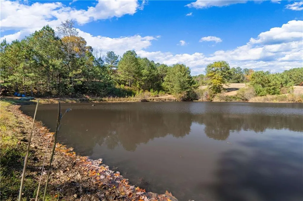1466 County Rd 59 Roanoke, AL 36274