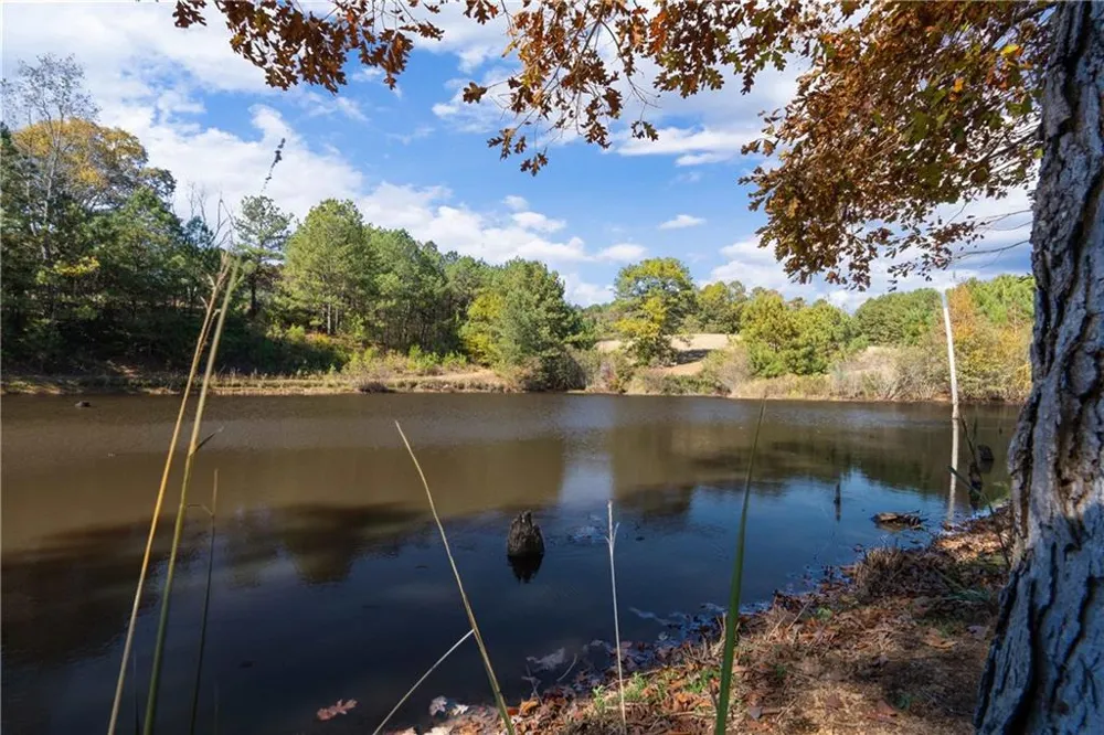 1466 County Rd 59 Roanoke, AL 36274