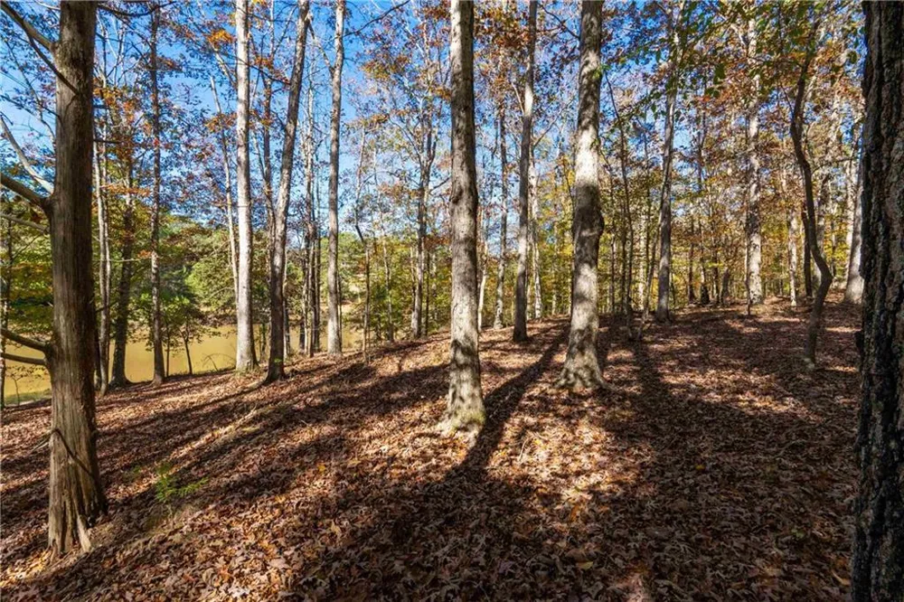 1466 County Rd 59 Roanoke, AL 36274