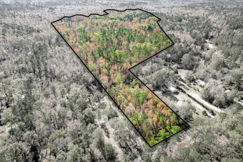 Wrightsboro Road