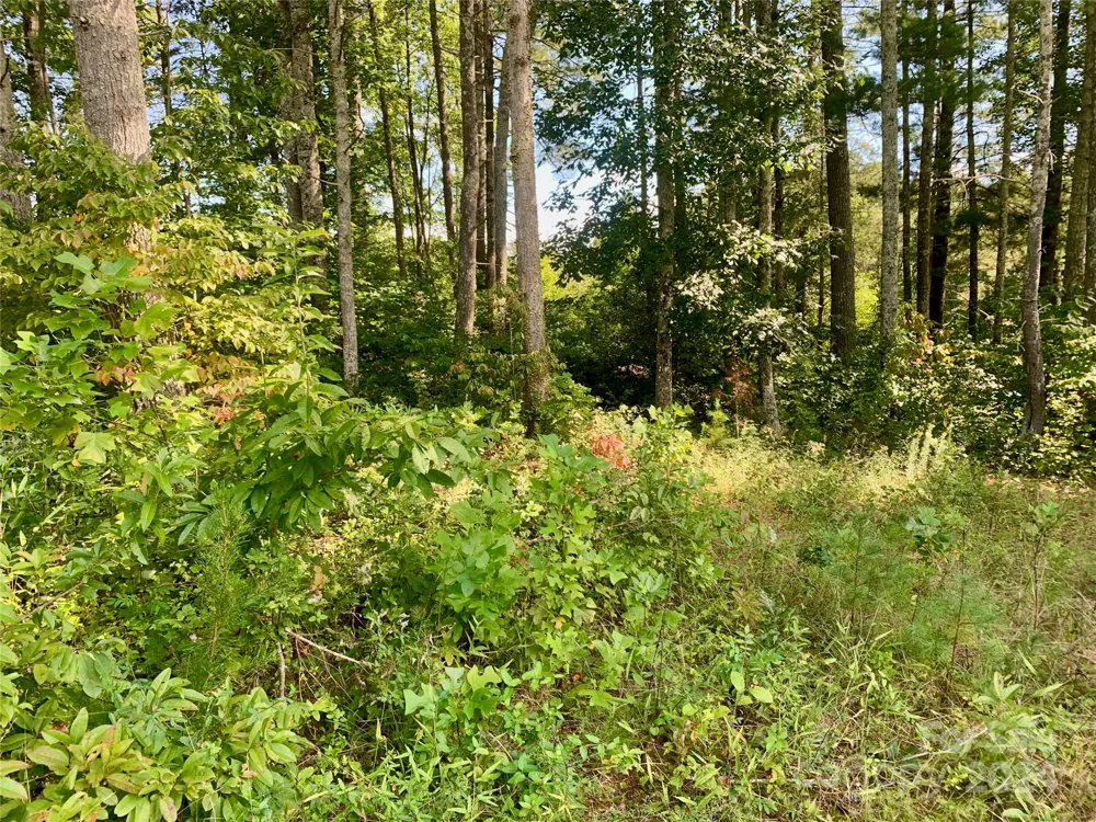 2.81 acres, 4098 Derbyshire Lane #G32 Lenoir, NC 28645