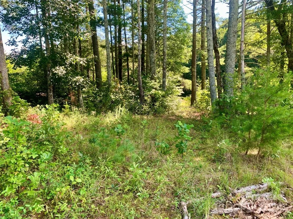2.81 acres, 4098 Derbyshire Lane #G32 Lenoir, NC 28645