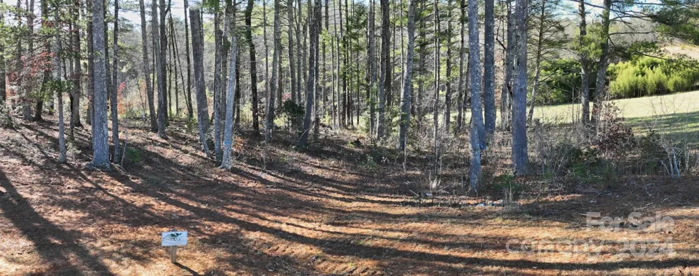 2.81 acres, 4098 Derbyshire Lane #G32 Lenoir, NC 28645