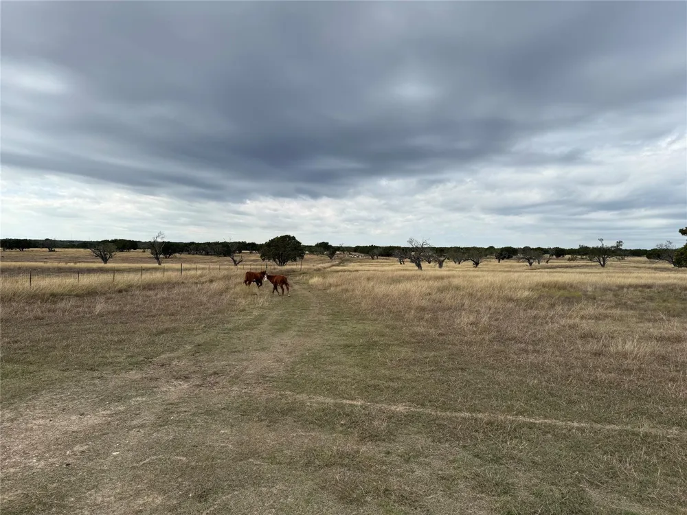 126 County Road 204 Burnet, TX 78611