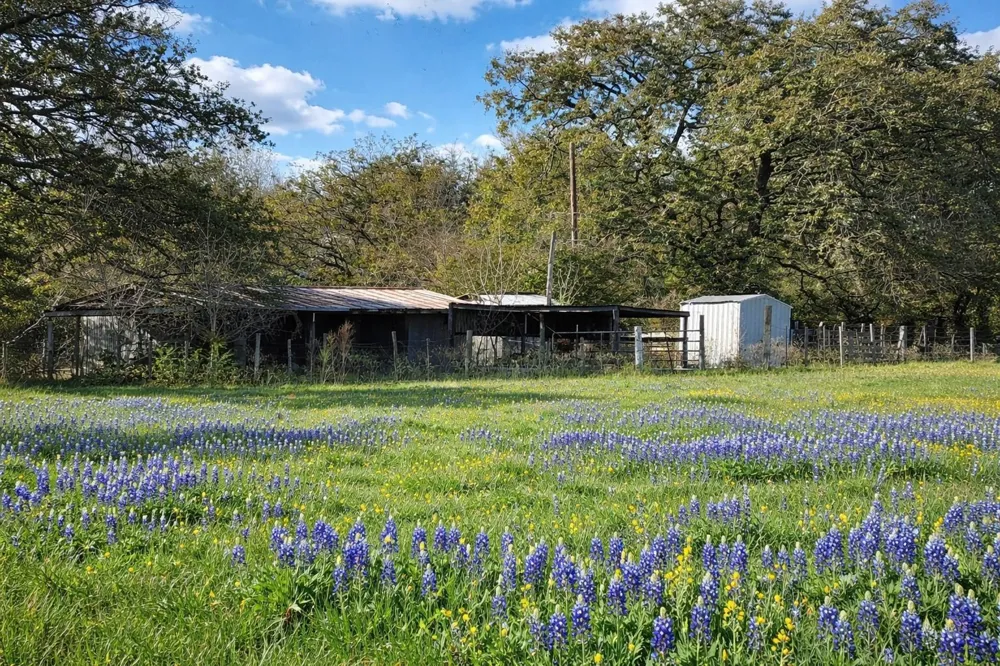12811 E Us Highway 79 Oakwood, TX 75855