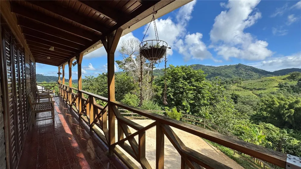 SR 526 BOSQUE TANAMA Adjuntas, PR 00601
