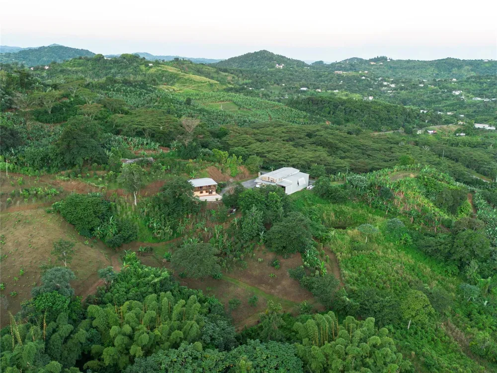 SR 526 BOSQUE TANAMA Adjuntas, PR 00601