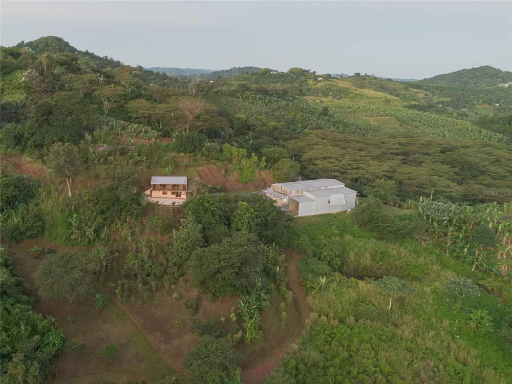 SR 526 BOSQUE TANAMA Adjuntas, PR 00601
