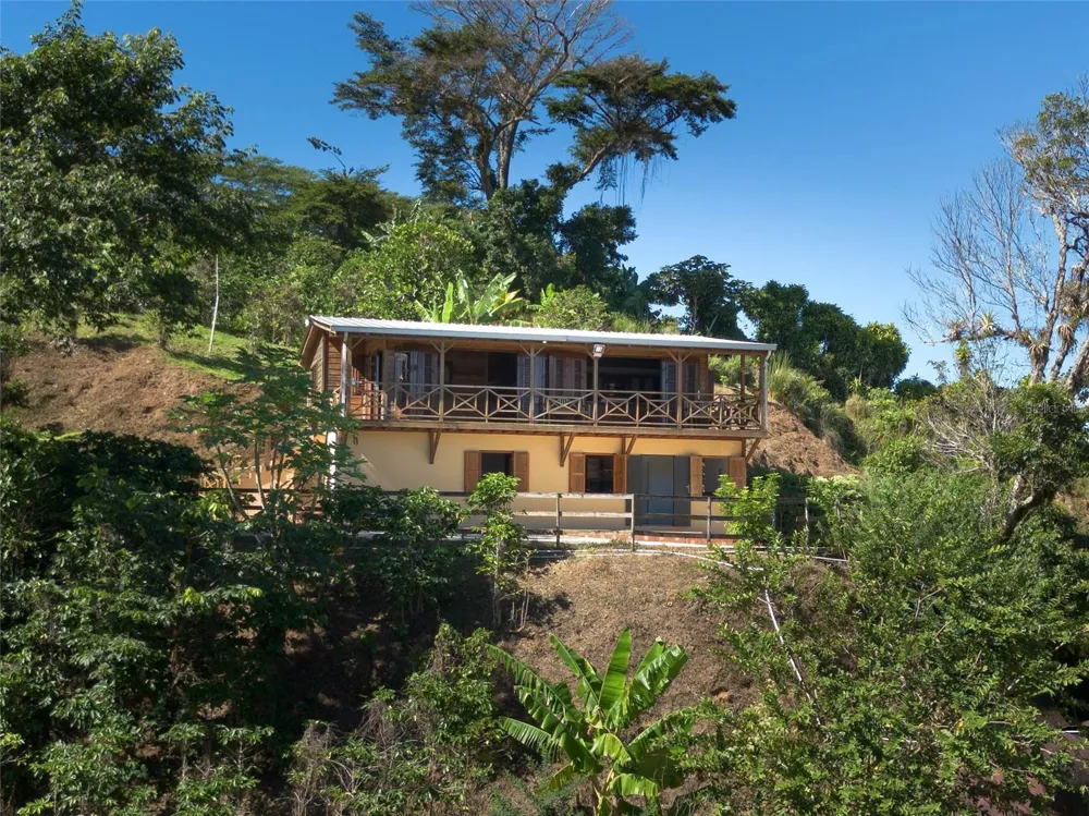 SR 526 BOSQUE TANAMA Adjuntas, PR 00601