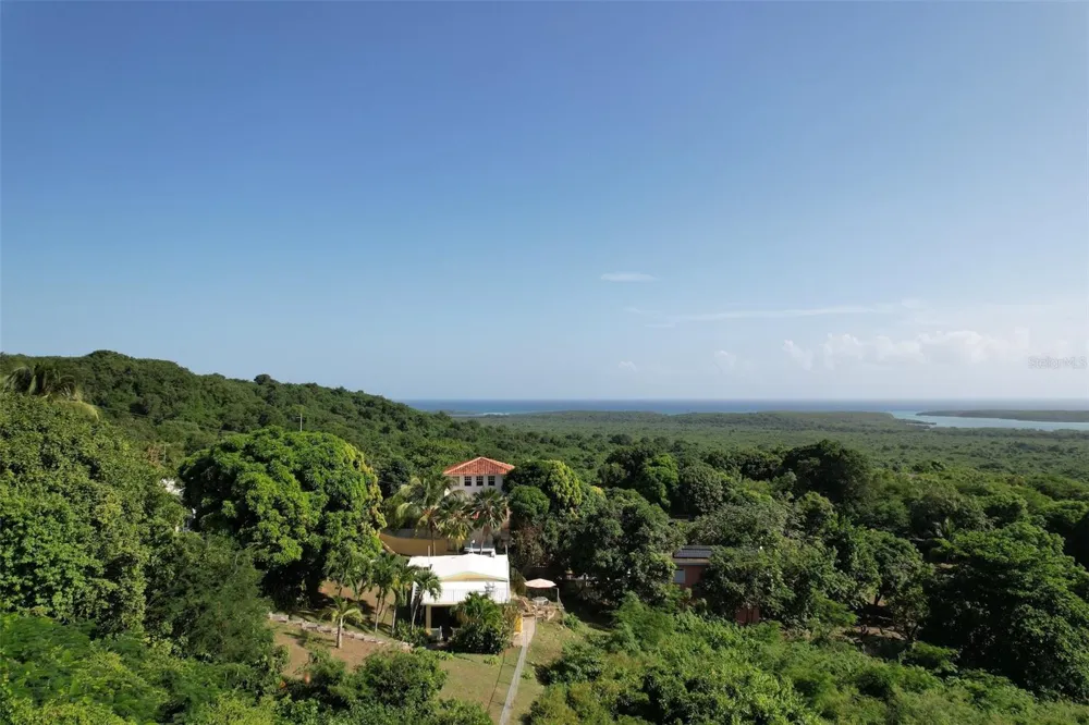 Number 28 DESTINO Vieques, PR 00765