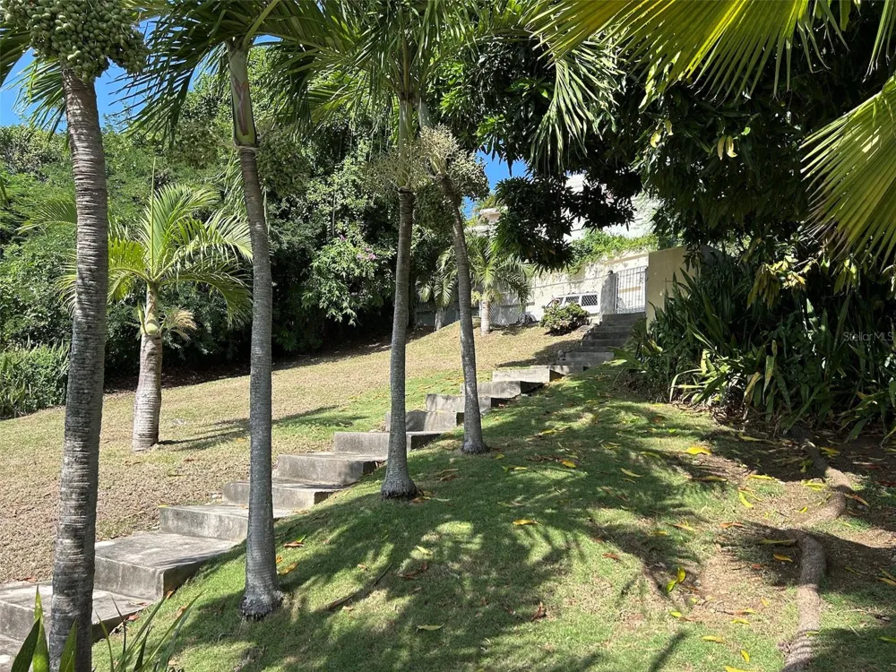 Number 28 DESTINO Vieques, PR 00765
