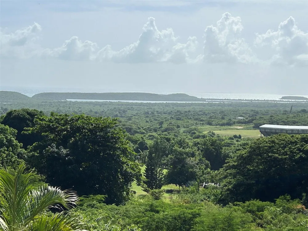 Number 28 DESTINO Vieques, PR 00765