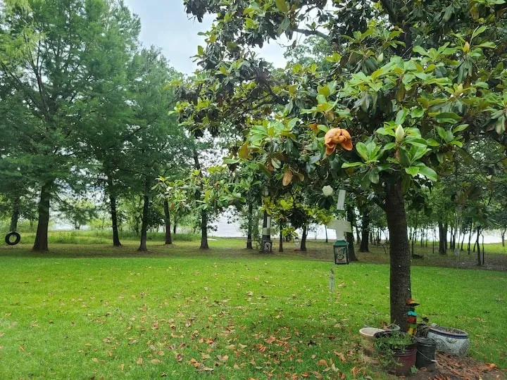 Jay Street Shady Shores, TX 76208