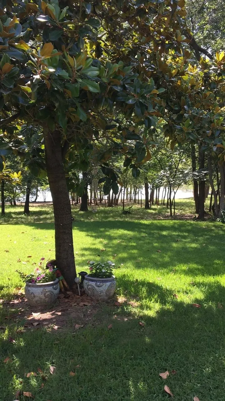 Jay Street Shady Shores, TX 76208