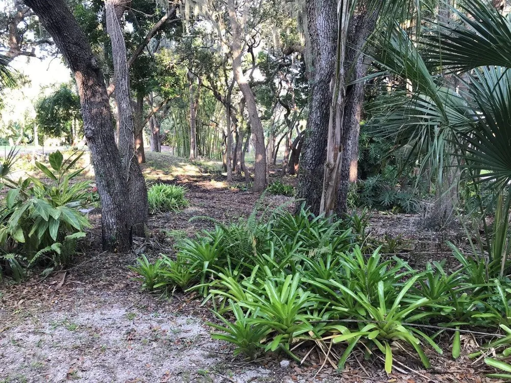 4407 S SHADE AVENUE Sarasota, FL 34231