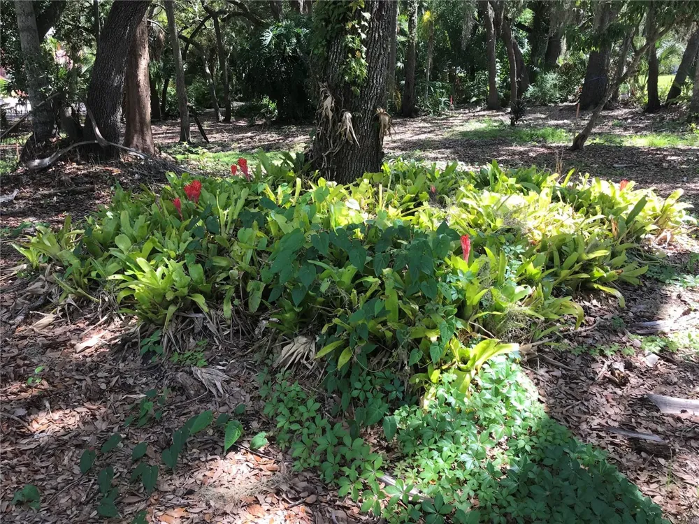 4407 S SHADE AVENUE Sarasota, FL 34231