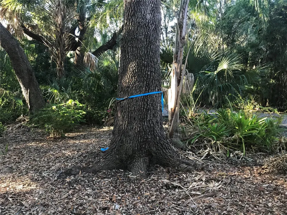 4407 S SHADE AVENUE Sarasota, FL 34231