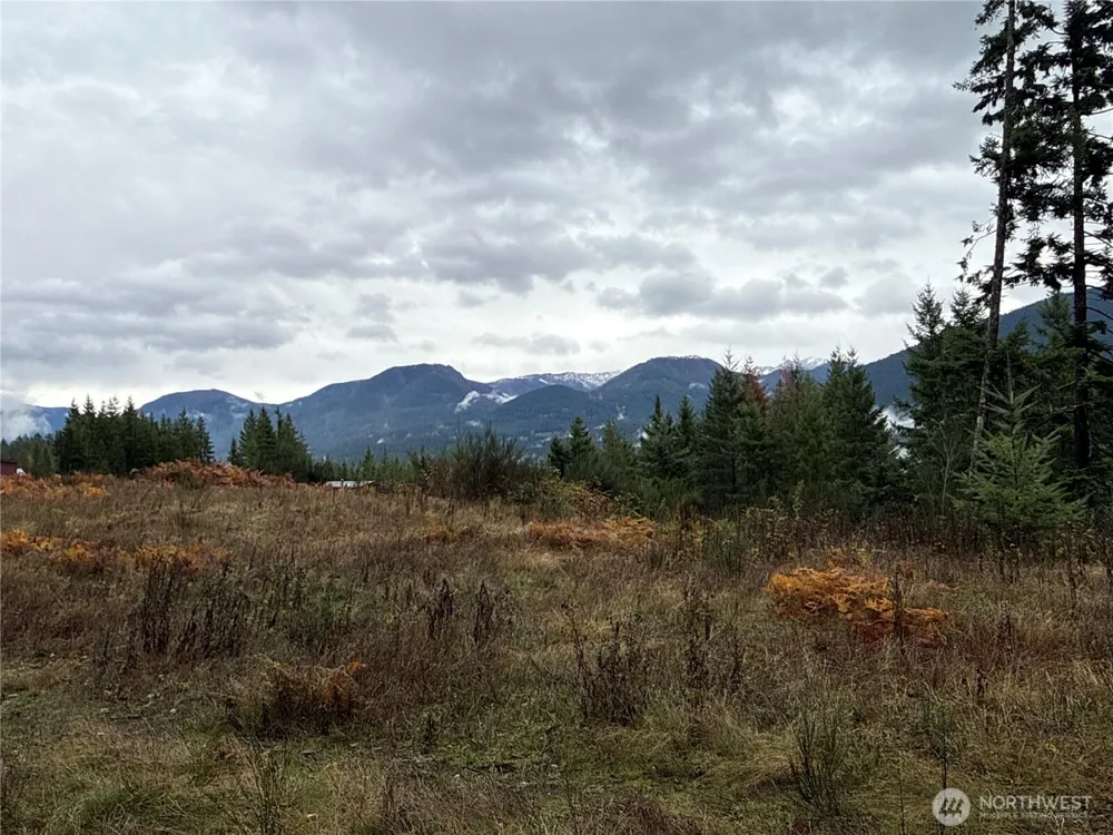 2 XX Forest Road 52 Packwood, WA 98361