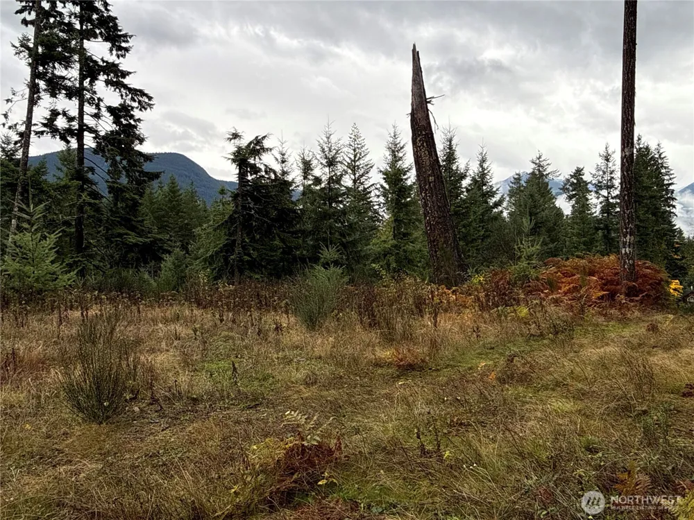 2 XX Forest Road 52 Packwood, WA 98361