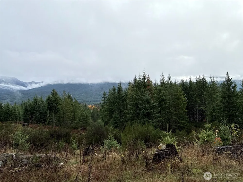 2 XX Forest Road 52 Packwood, WA 98361