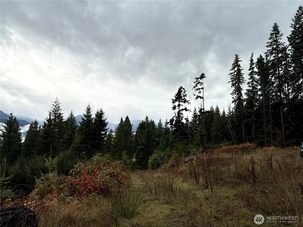 2 XX Forest Road 52 Packwood, WA 98361