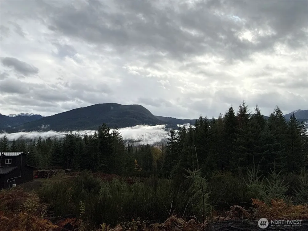 2 XX Forest Road 52 Packwood, WA 98361